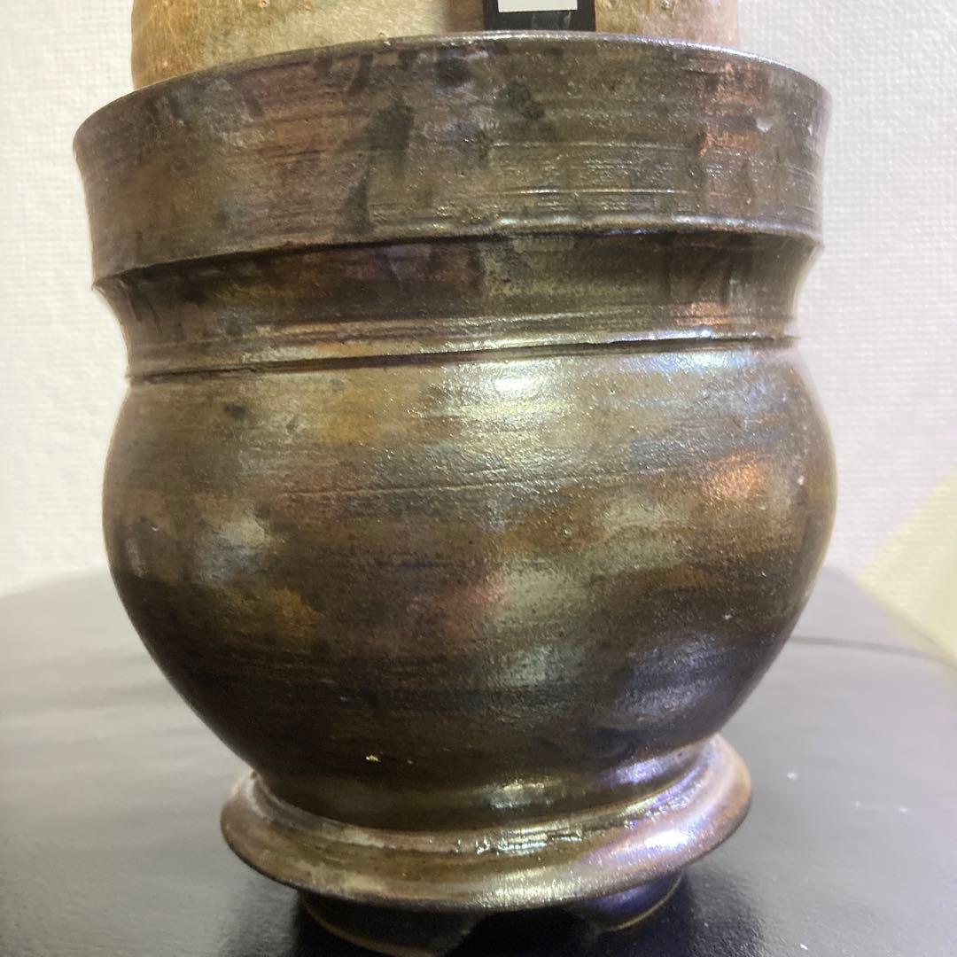 冬の値下げ❕　グラキリス　鉢付き　パキポディウム