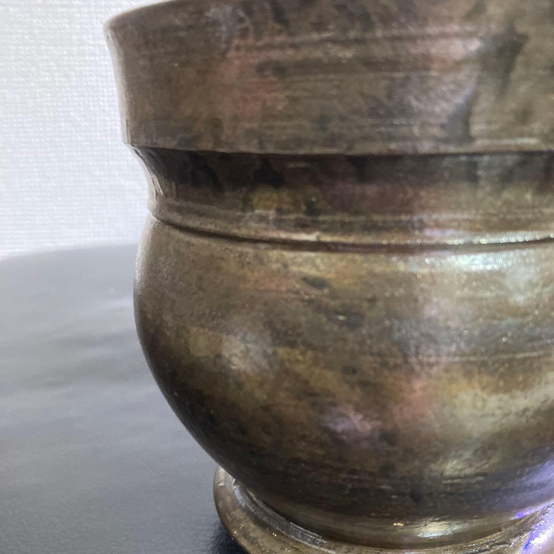 冬の値下げ❕　グラキリス　鉢付き　パキポディウム