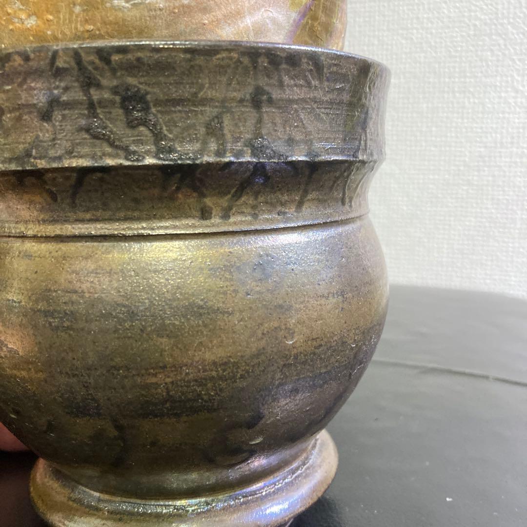 冬の値下げ❕　グラキリス　鉢付き　パキポディウム