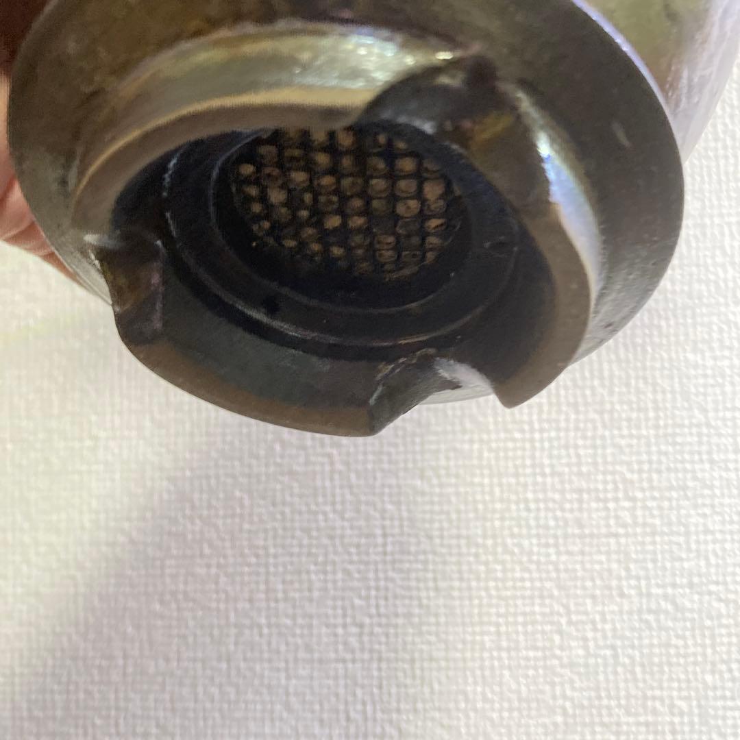 冬の値下げ❕　グラキリス　鉢付き　パキポディウム