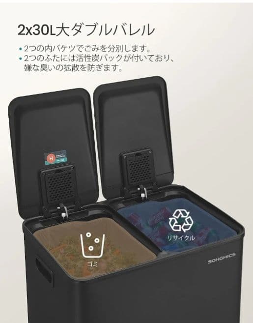 ゴミ箱 分別 2x30L ふた付きダストボックス キッチン用 ペダル式 ブラック