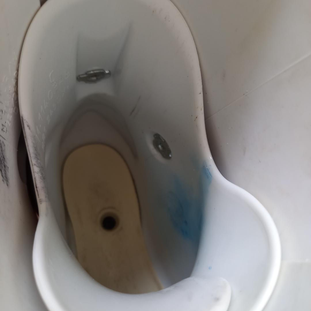 HEAD　ヘッド　スキーブーツ　WCR6　24.0/24.5