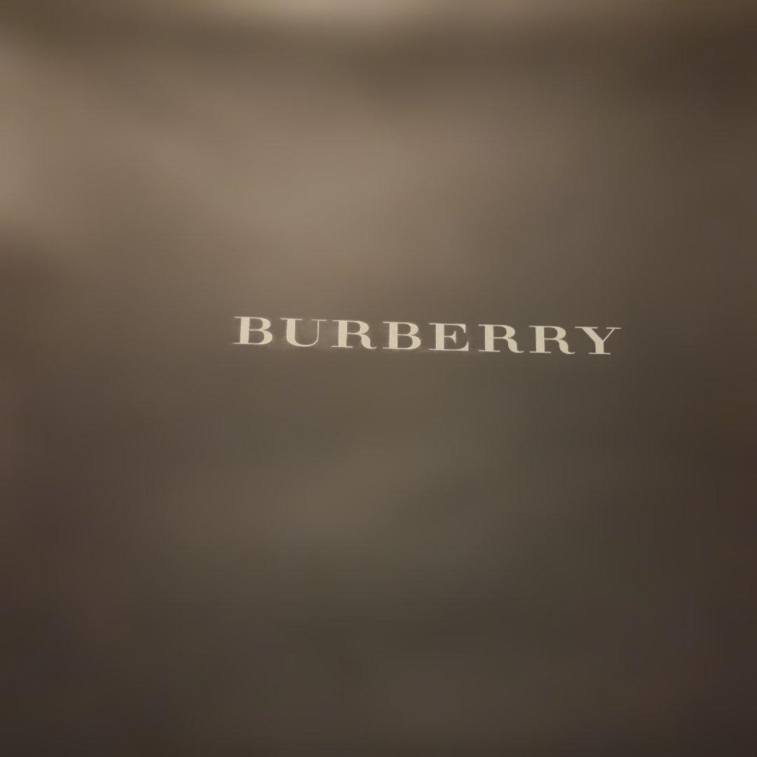 新品未使用　BURBERRY　シール織綿毛布 西川産業