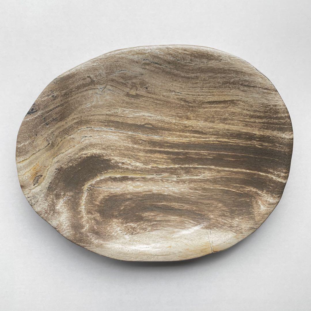 珪化木 ペトリファイドウッド