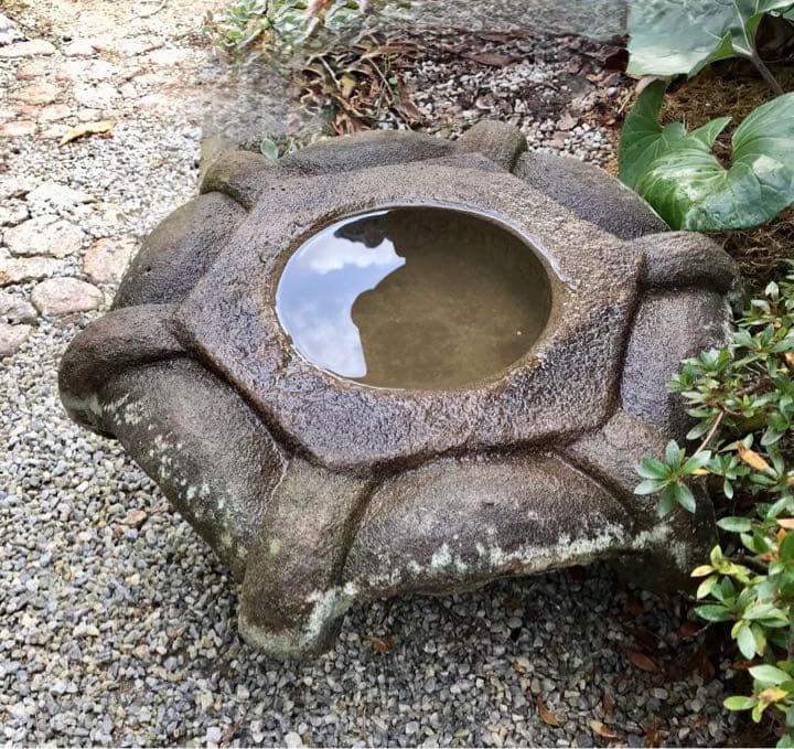 見立て水鉢・笠型