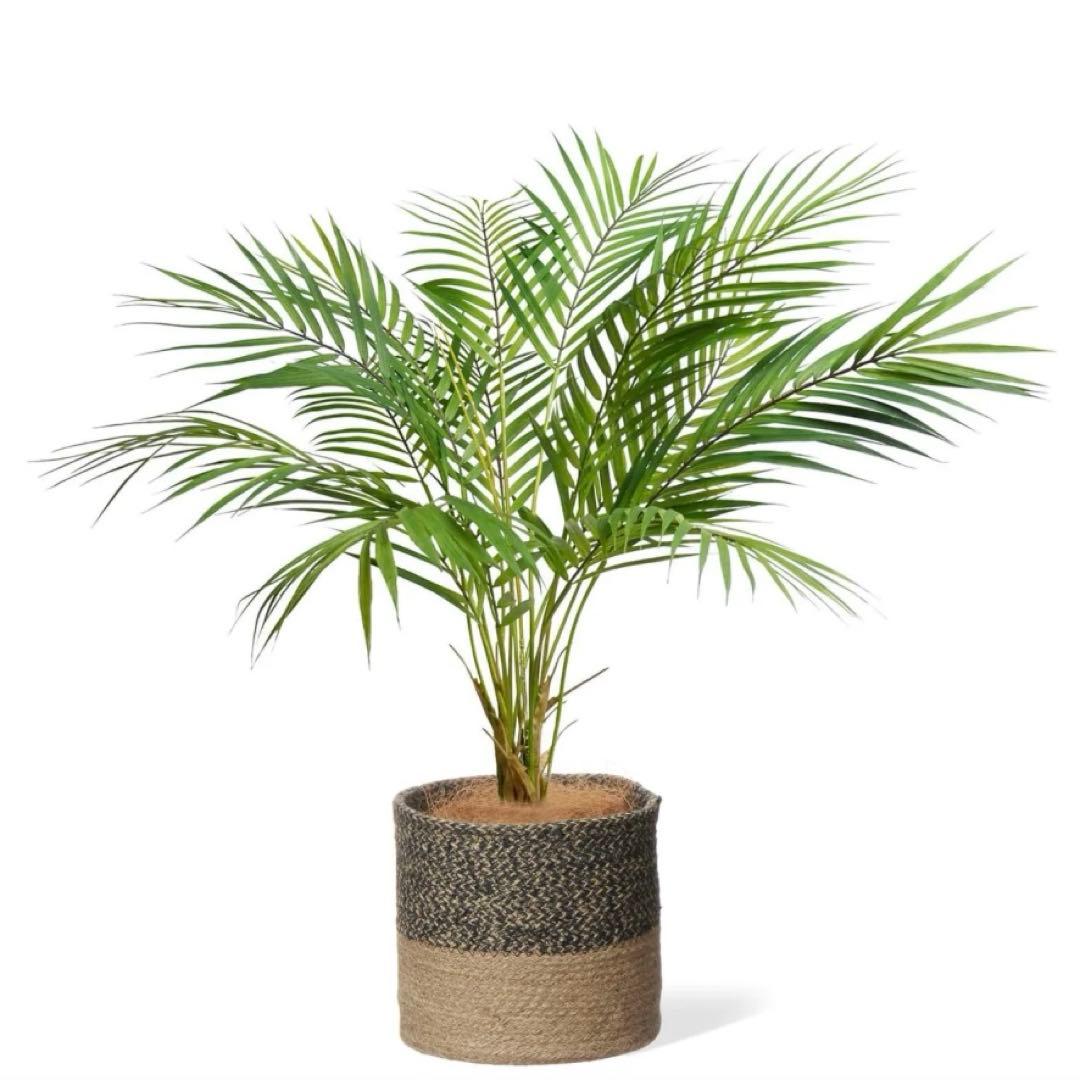Prima フェイクグリーン 観葉植物 アレカヤシ