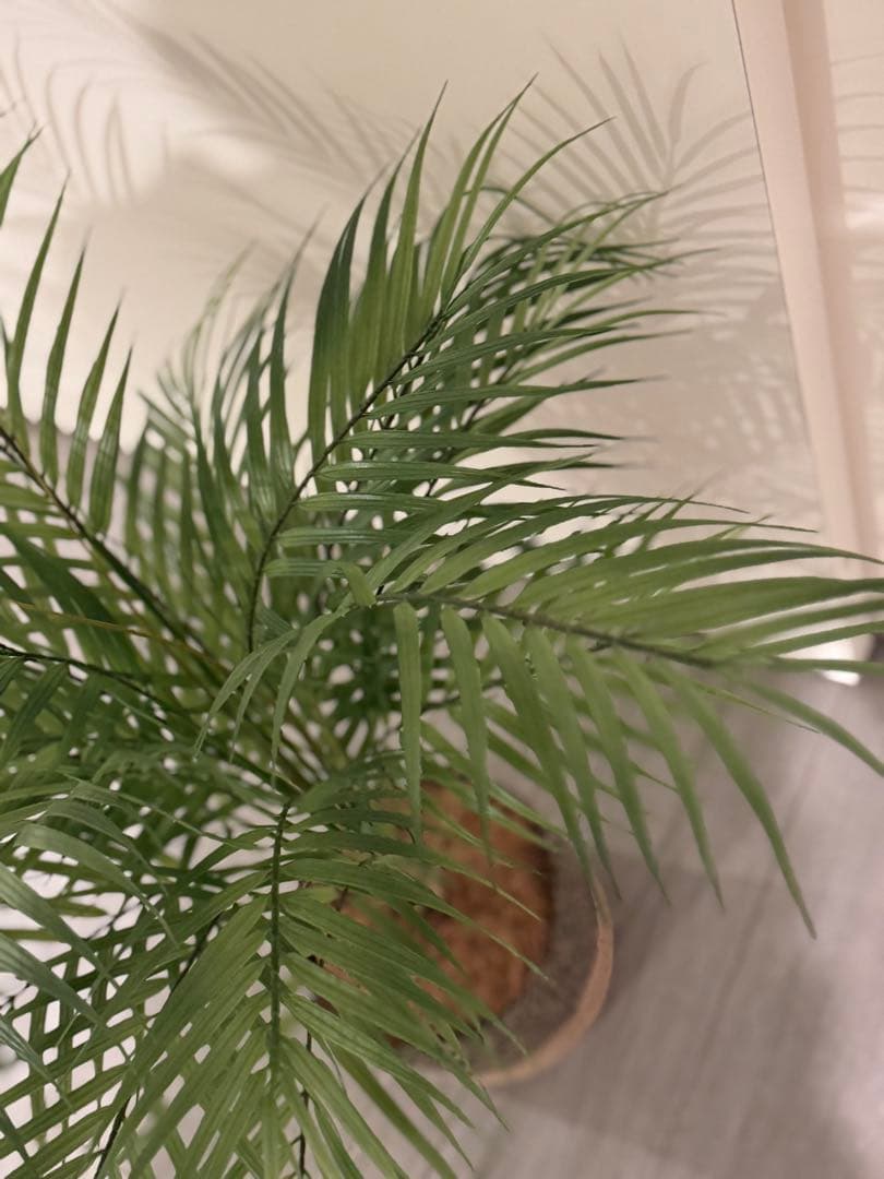 Prima フェイクグリーン 観葉植物 アレカヤシ