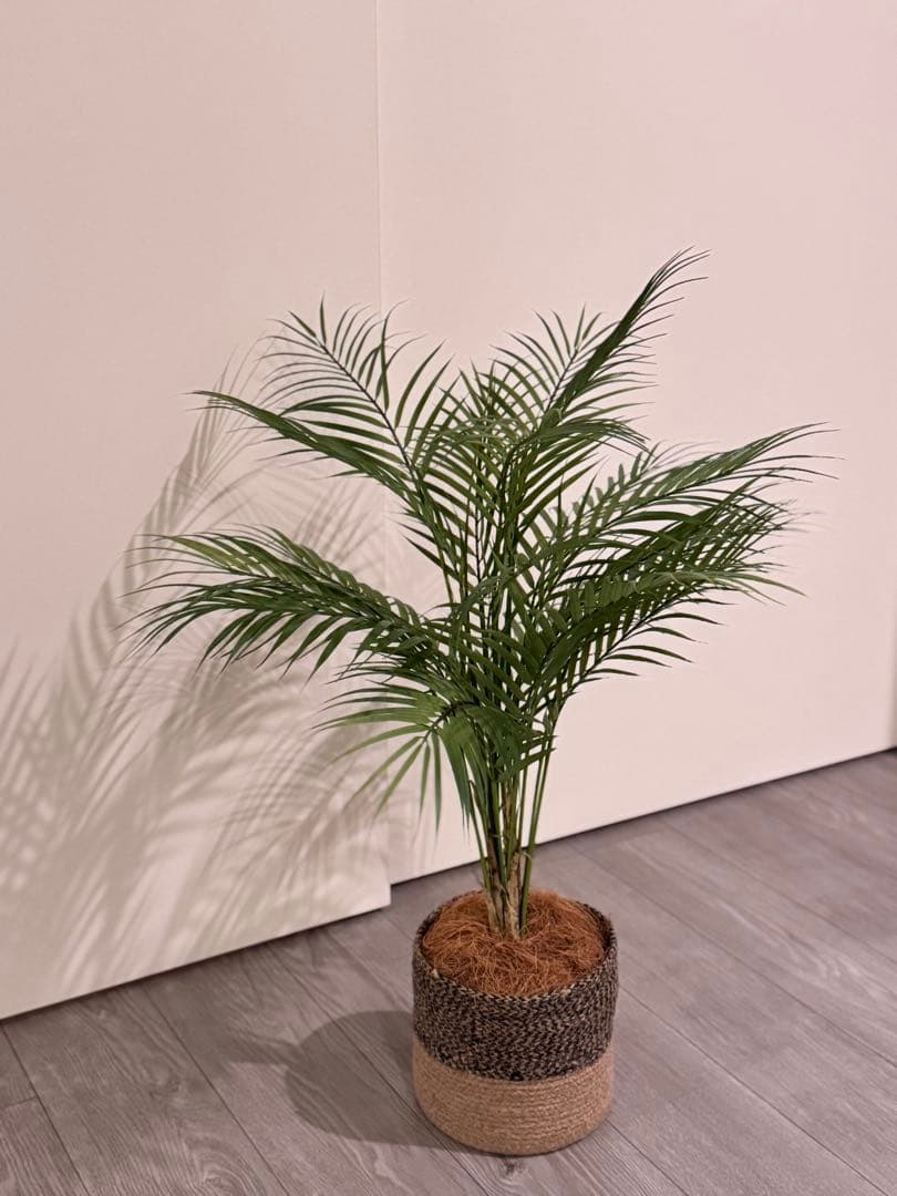 Prima フェイクグリーン 観葉植物 アレカヤシ