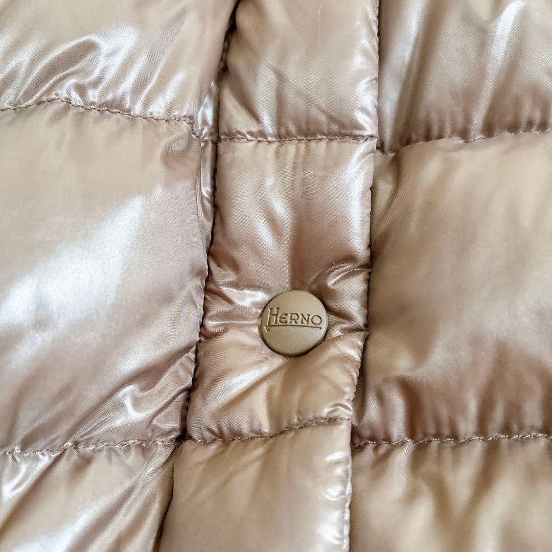 HERNO ヘルノ　ダウンコート　グースダウン　L