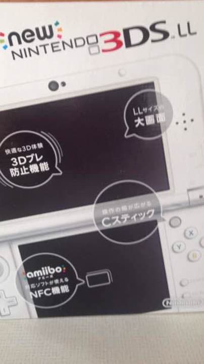 エギさま専用 新品☆未使用 任天堂3DS LL エギさま専用