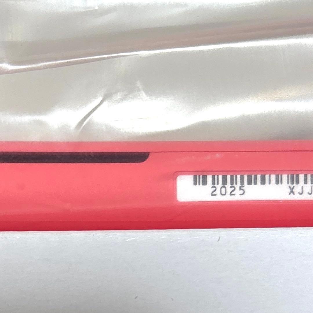 【美品✨】2025年購入 Nintendo Switch Lite 本体