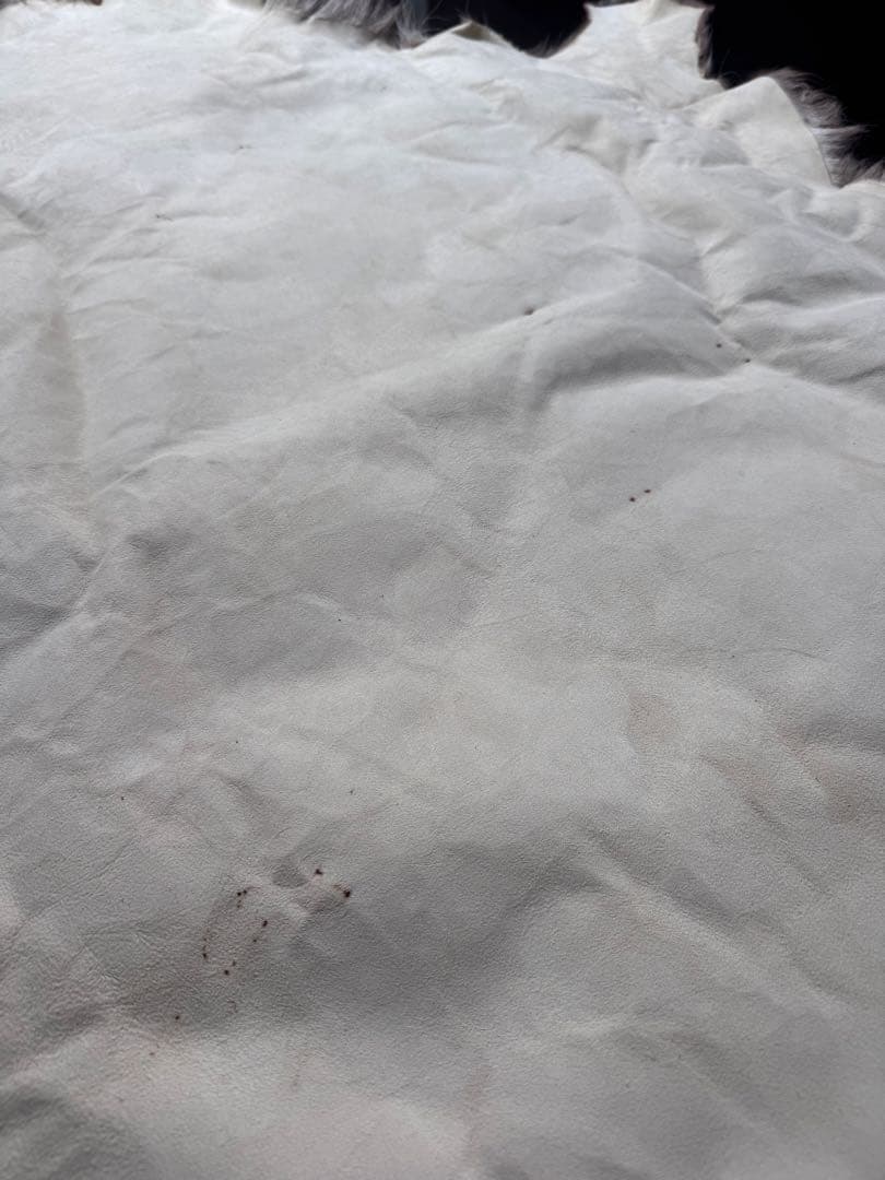 フィンランド　本物トナカイ毛皮敷物