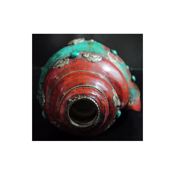 ◆チベット密教法具 法螺貝（シャンカ）ガネーシャ-D