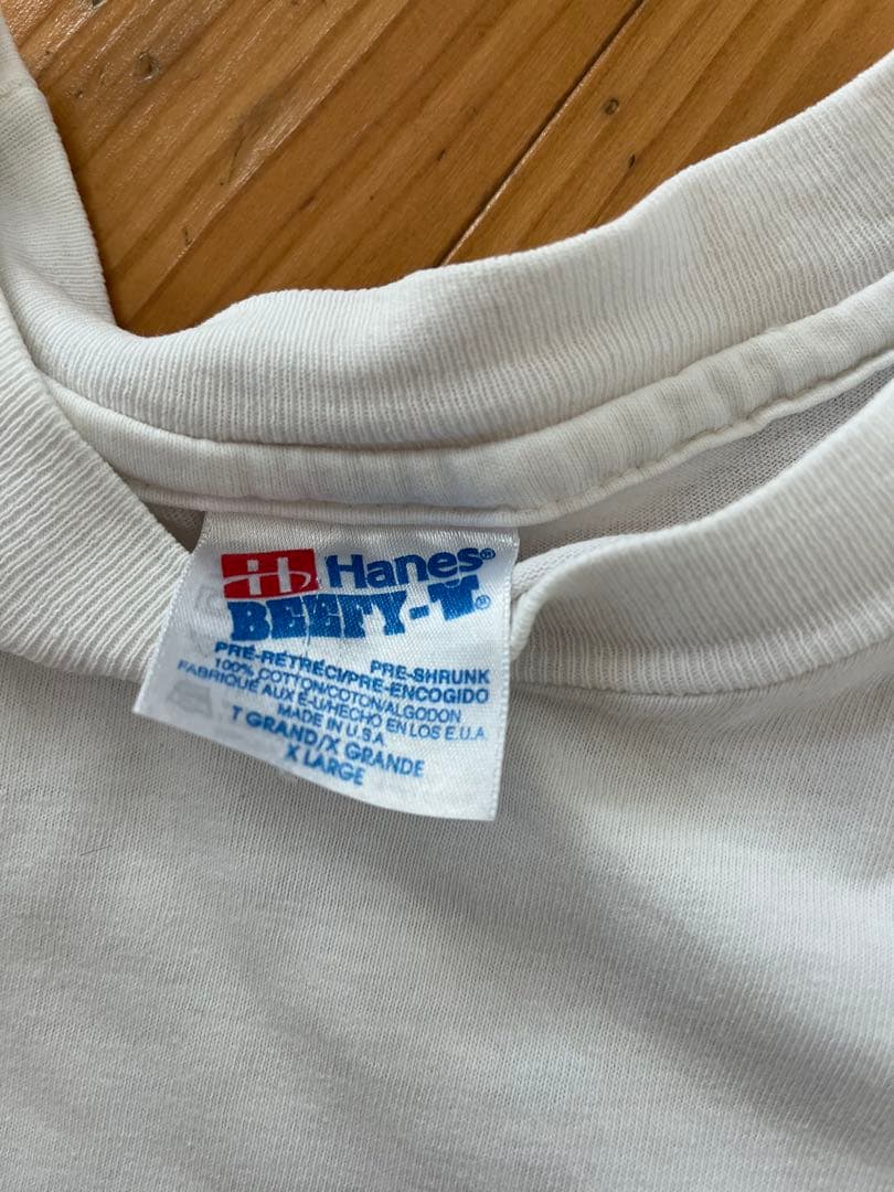 90s Hanes ラファエロアートTシャツ システィーナの聖母　ヴィンテージ