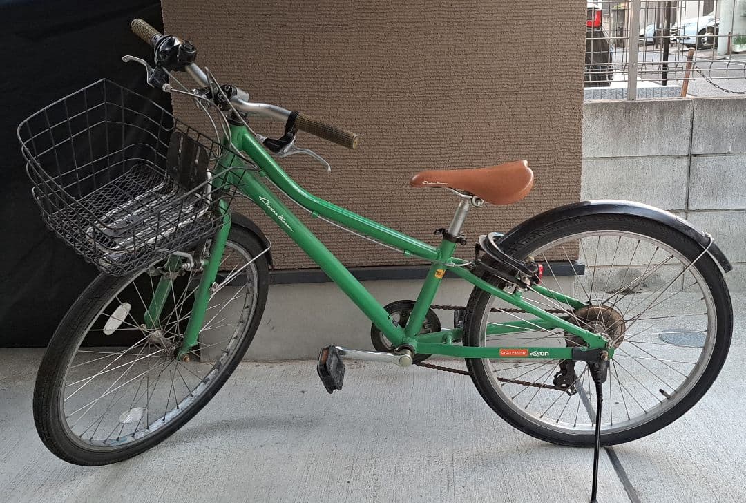 いちこ【直接渡し】 コーダーブルーム　アッソン J24 グリーン