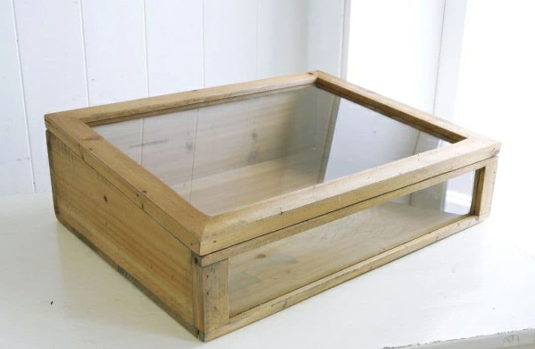 【新品】ラスティパイン ガラスショーケースL コベントガーデン FG-06