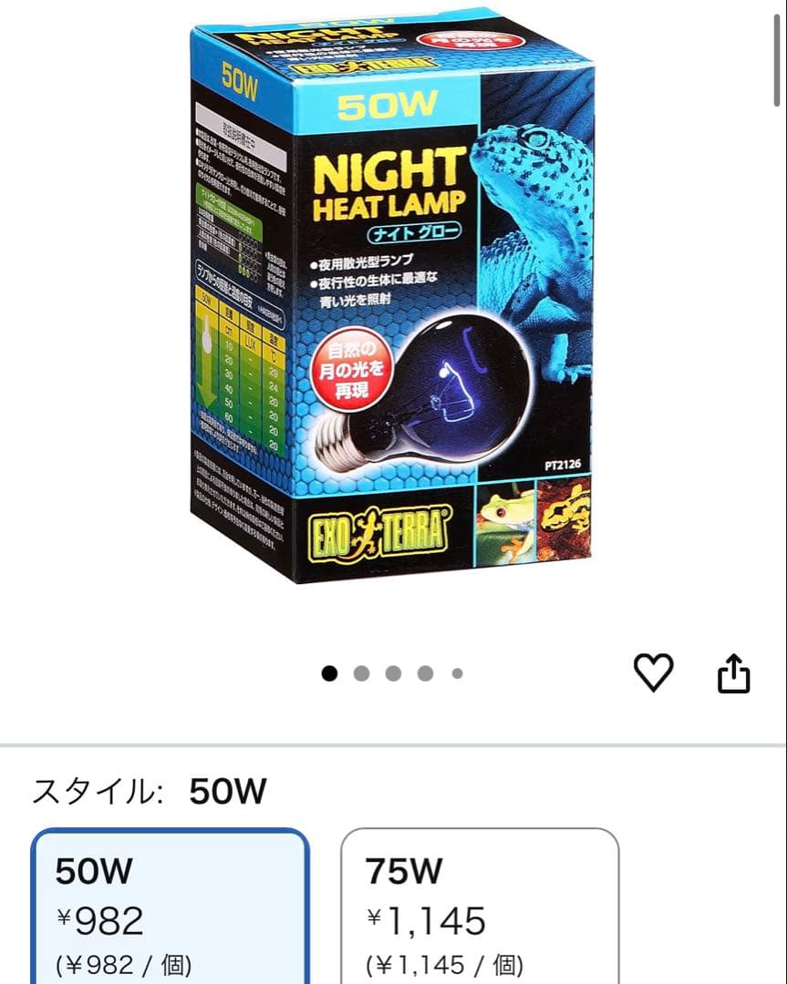 【最終値下げ】爬虫類飼育セット（爬虫類飼育ガラスケージセット）