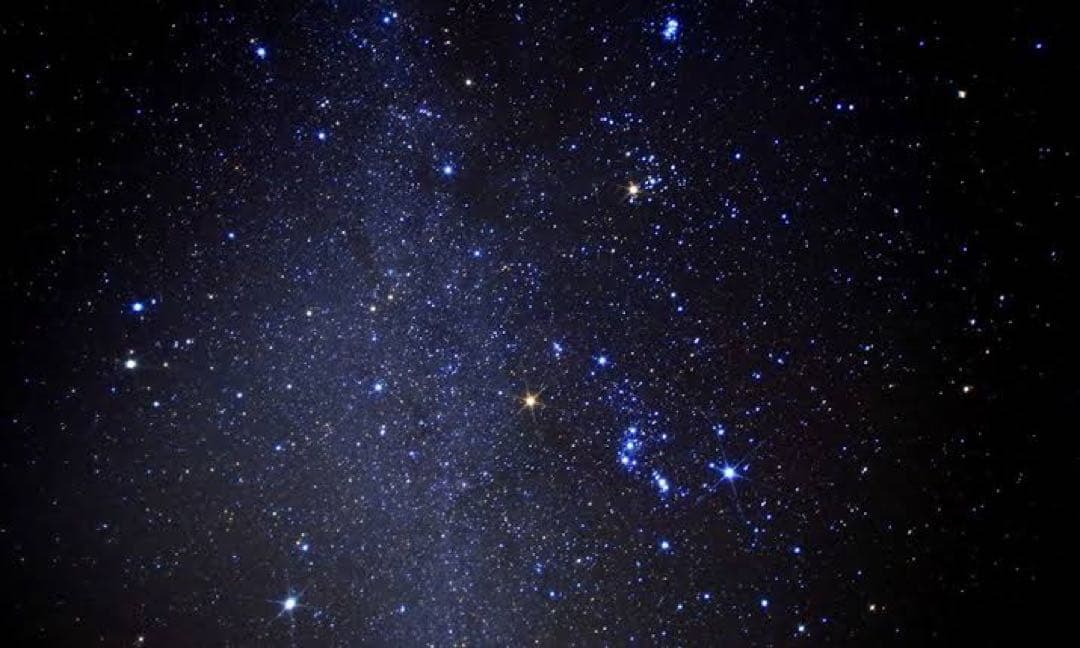 cro *clo様 確認ページ