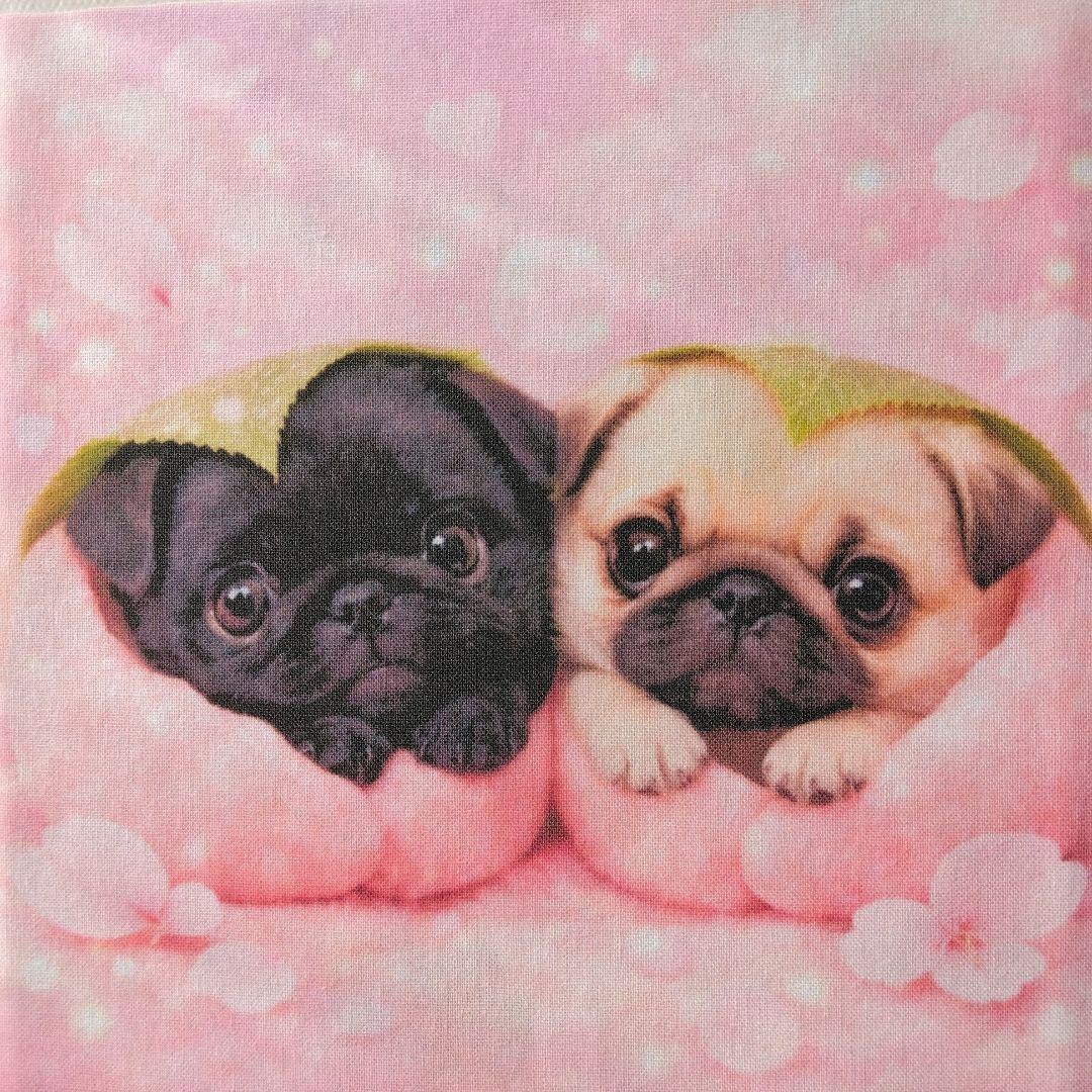 ☆受付☆パグ No.B