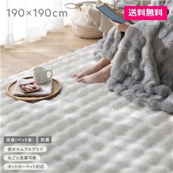 ふわもこ ラグ 約190×190cm アイボリー 洗える 抗菌 消臭 ペット臭