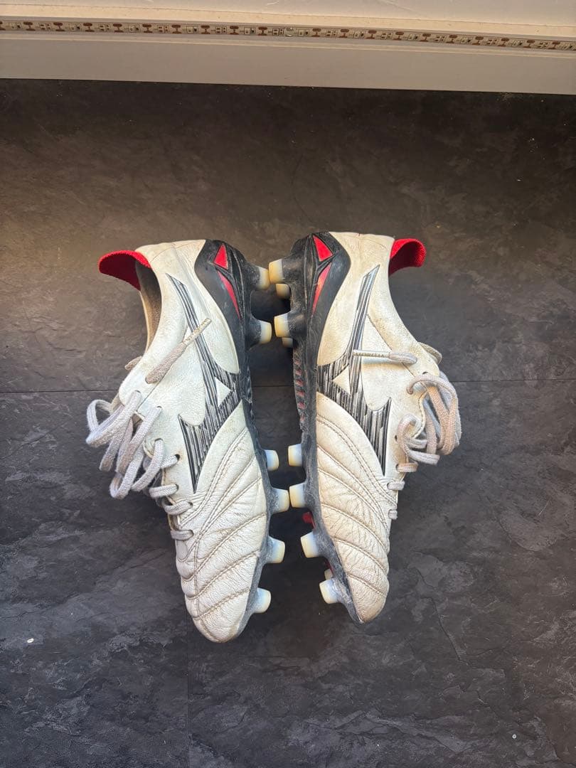 【chi4さん専用】モレリアネオ4