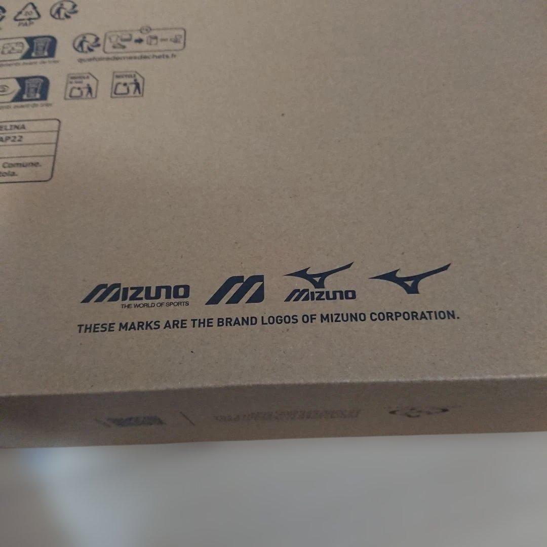 ミズノ ウェーブプロフェシーLSスニーカー