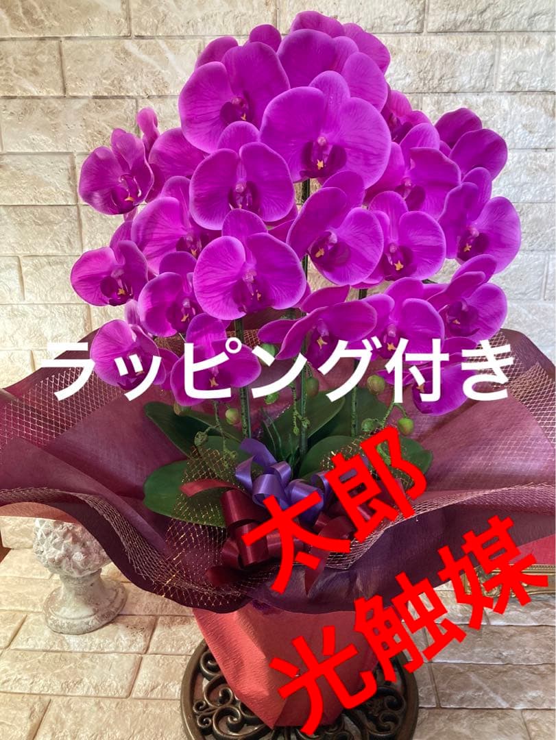 光触媒　人工観葉植物　ウォールグリーン　フェイクグリーン　胡蝶蘭リアル't