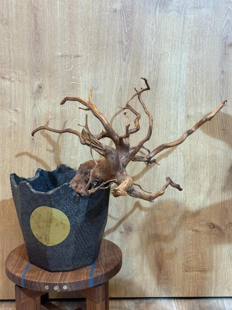 N/OH 澪標 山ノ月 ブラック Lサイズ ①