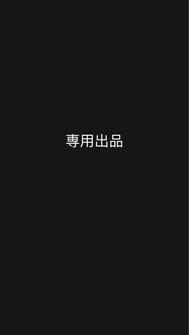 専用出品 Tシャツ