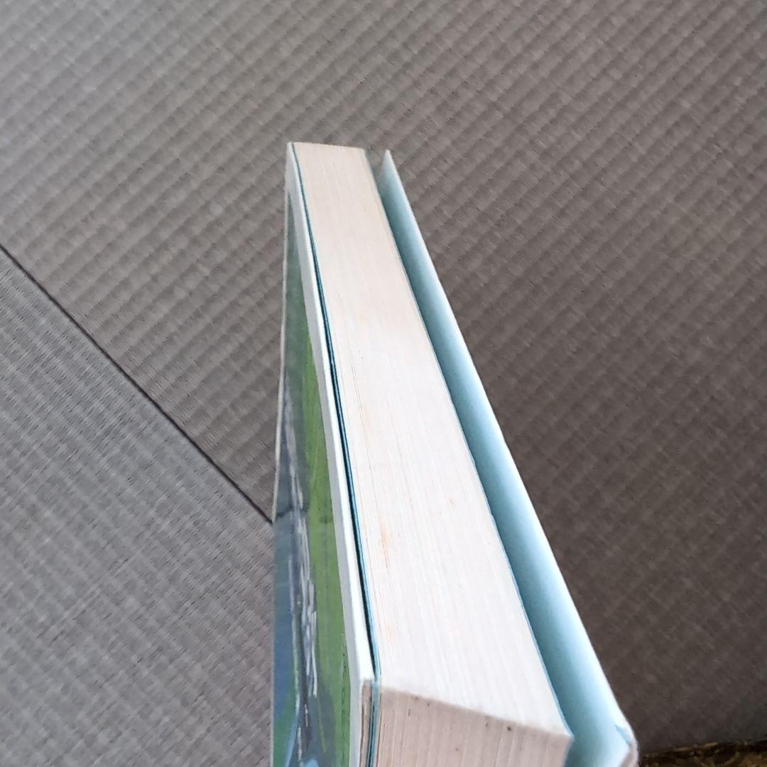 厳新気功学　テキスト