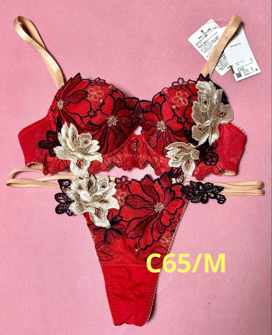 サルート96G ブラC65 ソングM