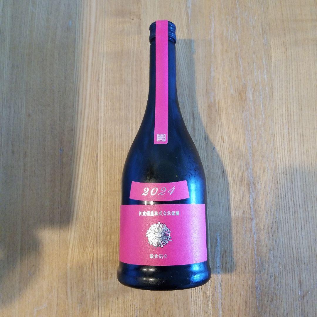 新政　コスモス 2024年