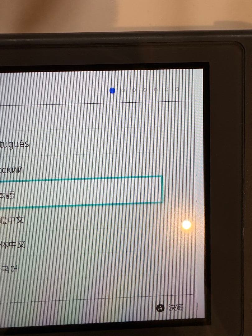 ニンテンドー Switchライト グレー