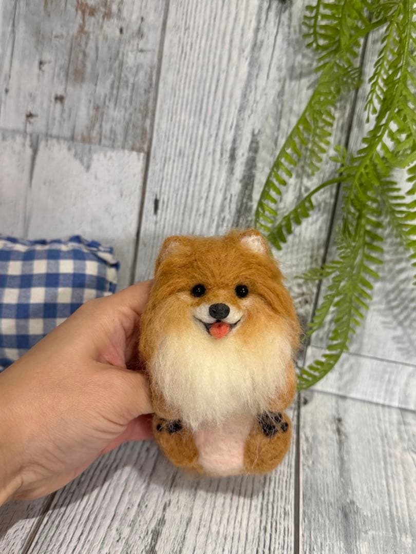 tm　クリップペット