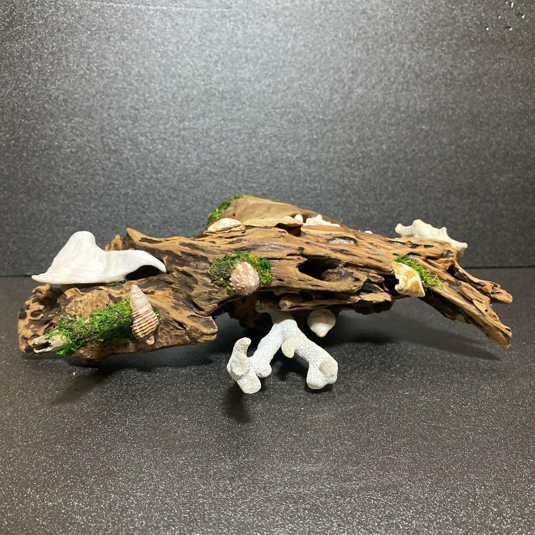 流木アート⚫︎ 恐竜 インテリア サンゴ 一点モノ