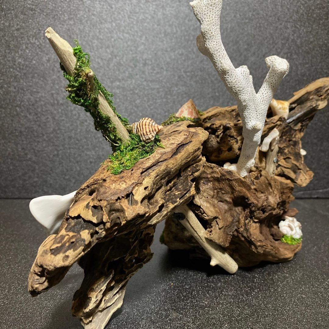 流木アート⚫︎ 恐竜 インテリア サンゴ 一点モノ