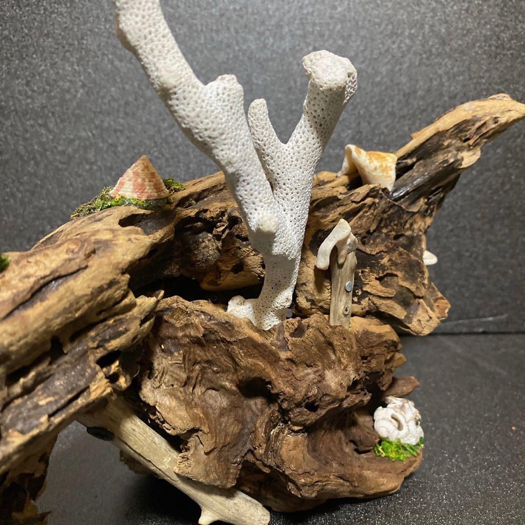 流木アート⚫︎ 恐竜 インテリア サンゴ 一点モノ