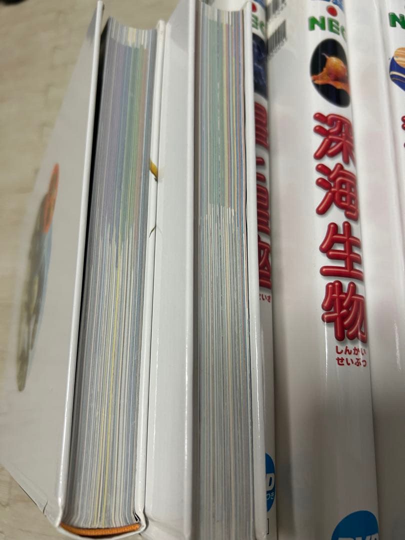 小学館の図鑑NEO まとめ売り