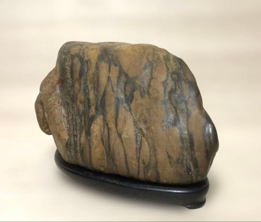 【希望ケ丘】　瀬田川石　瀬田川虎石　飴虎　水石