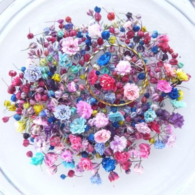 biidoro.0708様◆【ドライフラワー】かすみ草の蕾 着色（824）