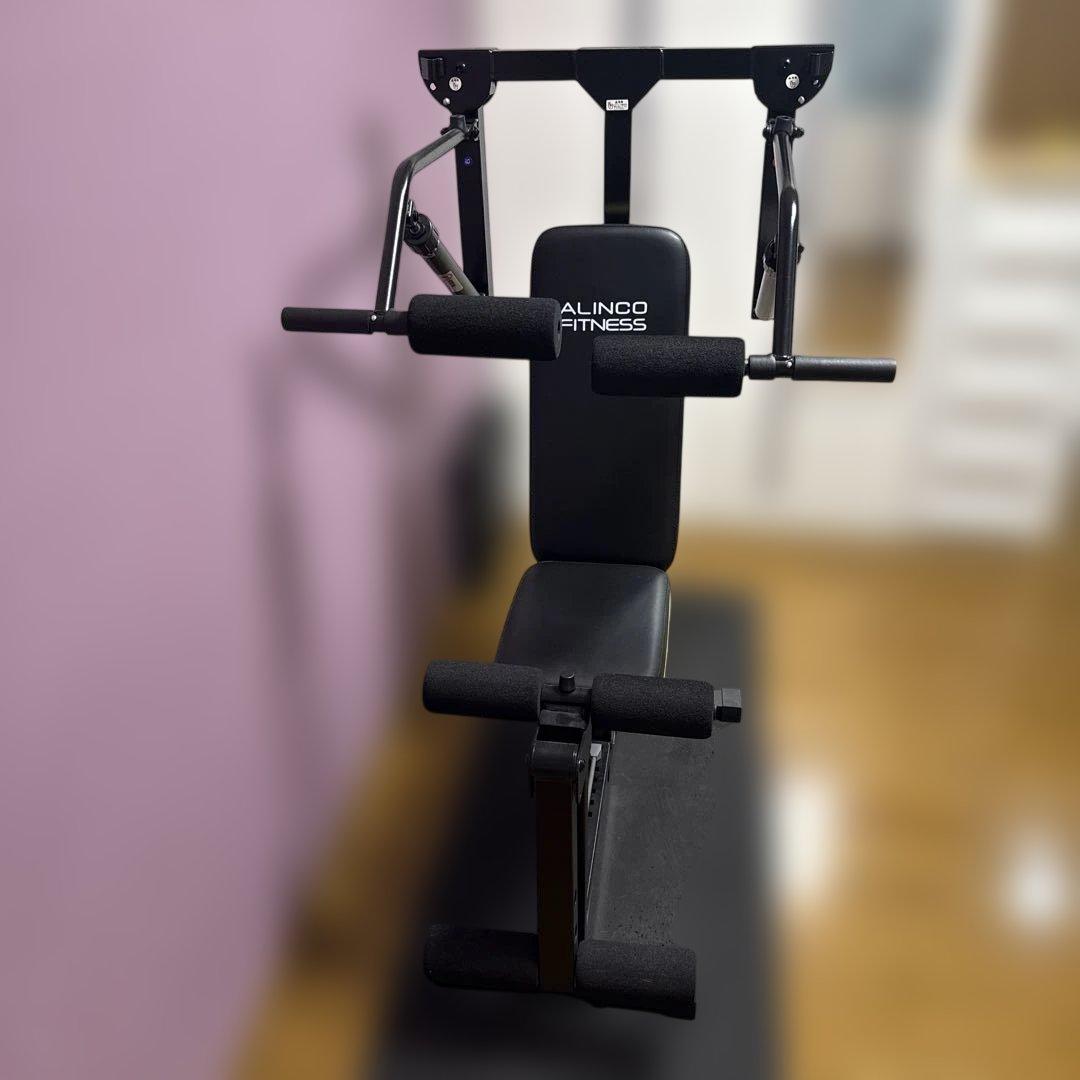 ALINCO FITNESS マルチワークアウトジム FAG2022