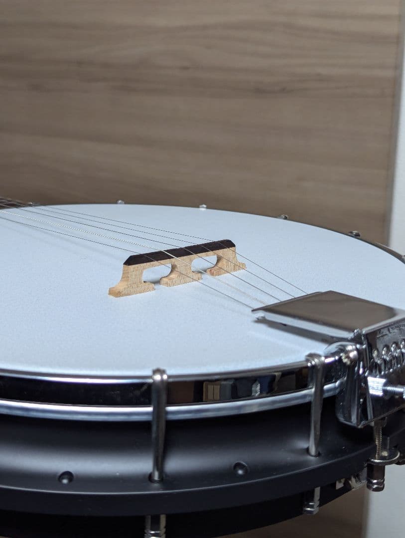 drivestar7 Gold Tone AC-1 5弦バンジョー