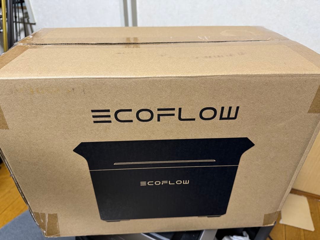 EcoFlow DELTA 3 Plusセット