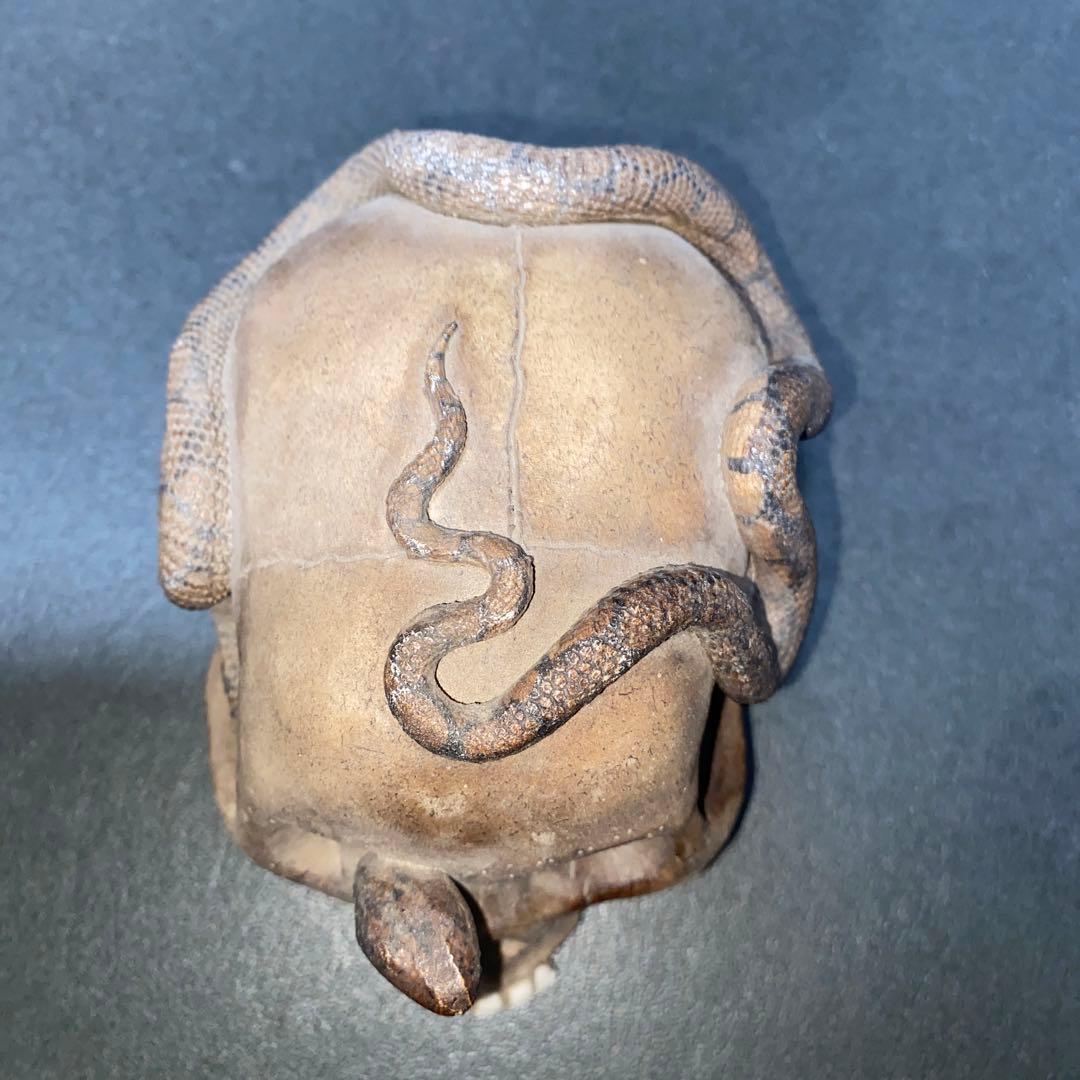 【珍品】ドクロ蛇髑髏　陶器製スカル置物 約10cm