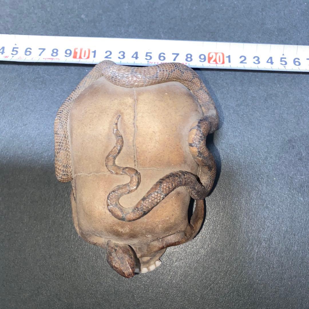 【珍品】ドクロ蛇髑髏　陶器製スカル置物 約10cm