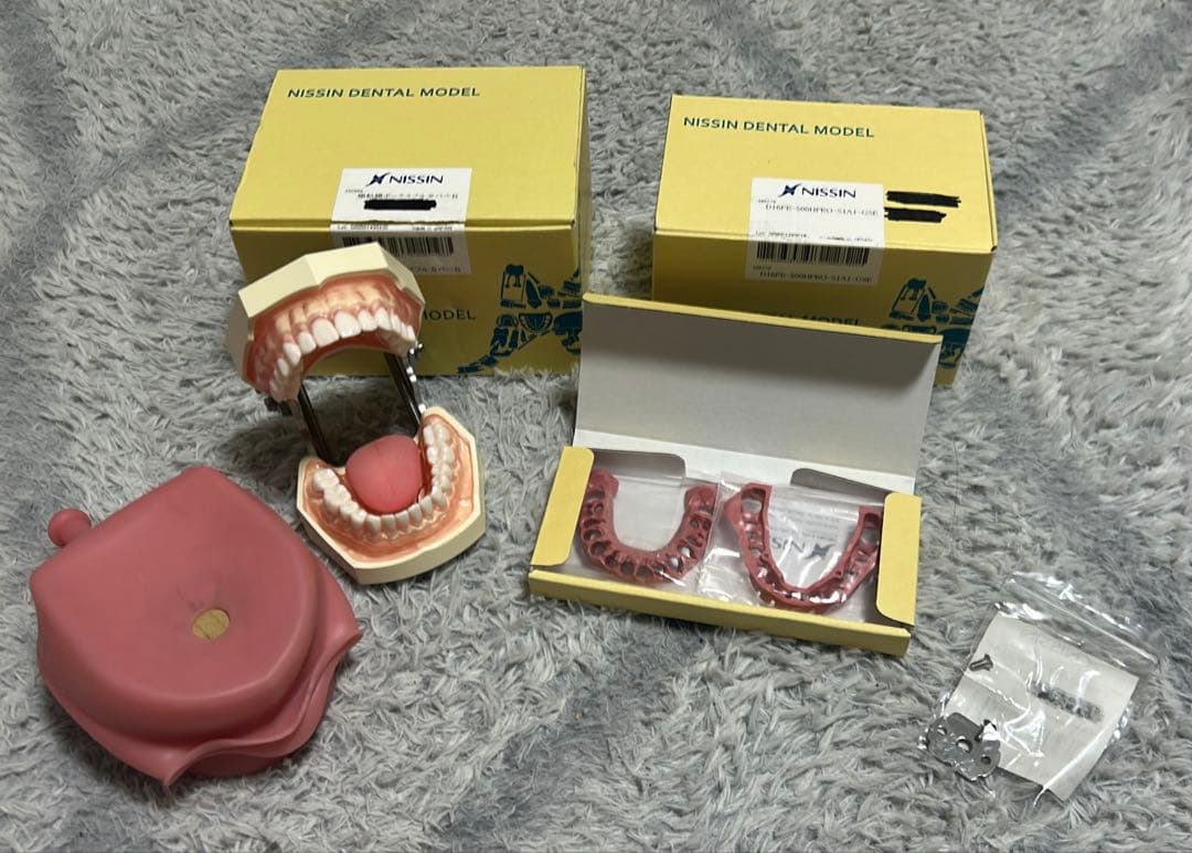 その他 NISSIN DENTAL MODEL