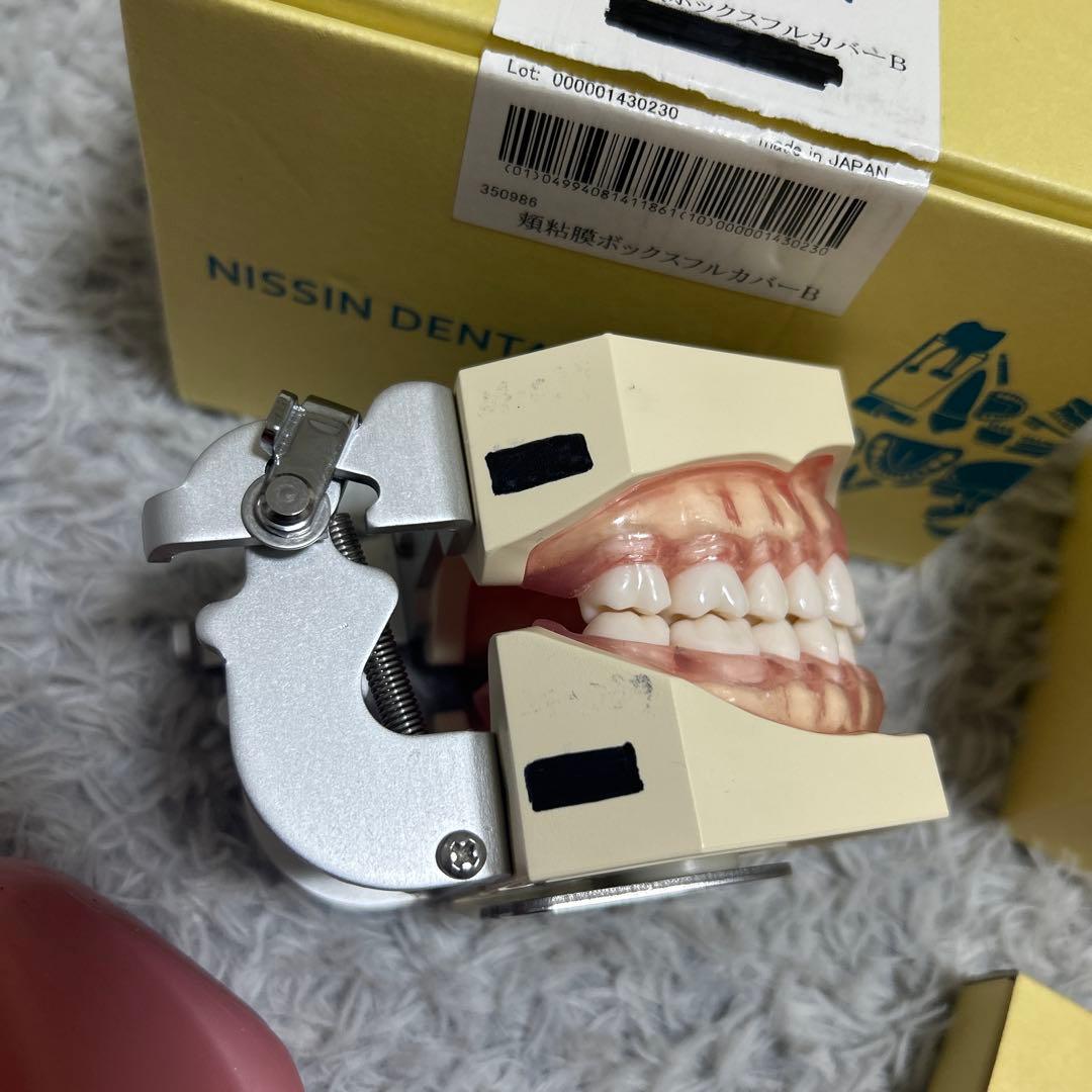 その他 NISSIN DENTAL MODEL