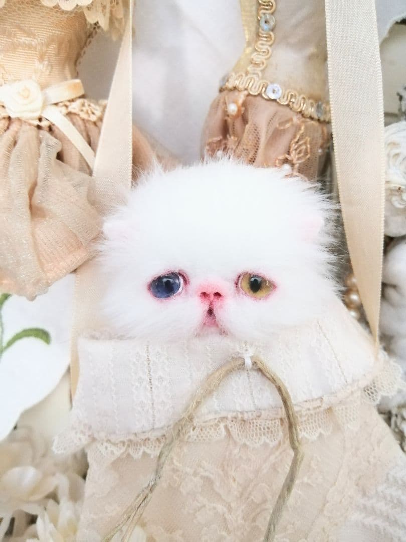 かちょぱ㌨✿様御予約❤️オッドアイの双子ちゃん♡ミニミニ子猫ちゃん♡エキゾ♡