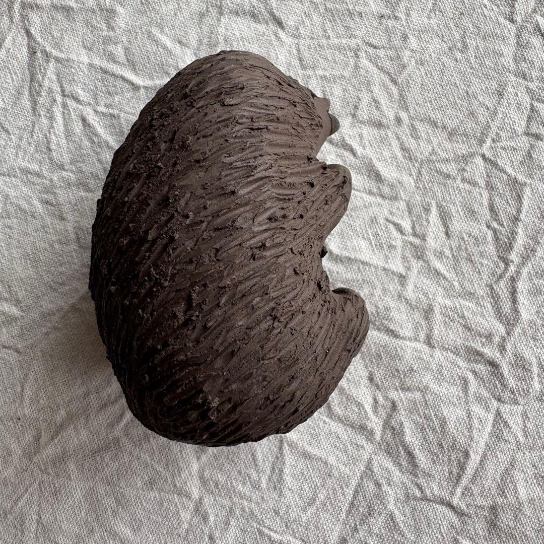 Hedgehog trio KÄHLER ⋆༶⠜ケーラー ハリネズミ 3兄弟