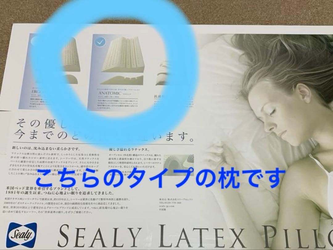 Sealy シーリー 枕 ラテックスピロー アナトミック
